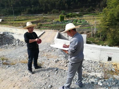 深耕沃土促發展 上坪鄉扎實推進土地整理與房地產開發協同并進